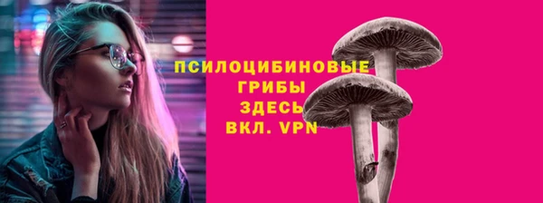 гидра Горнозаводск