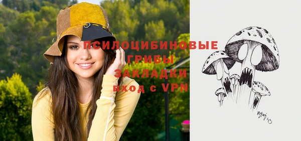 гидра Горнозаводск