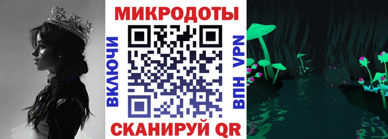 Галлюциногенные грибы Psilocybine cubensis  Купить  Новоалтайск 